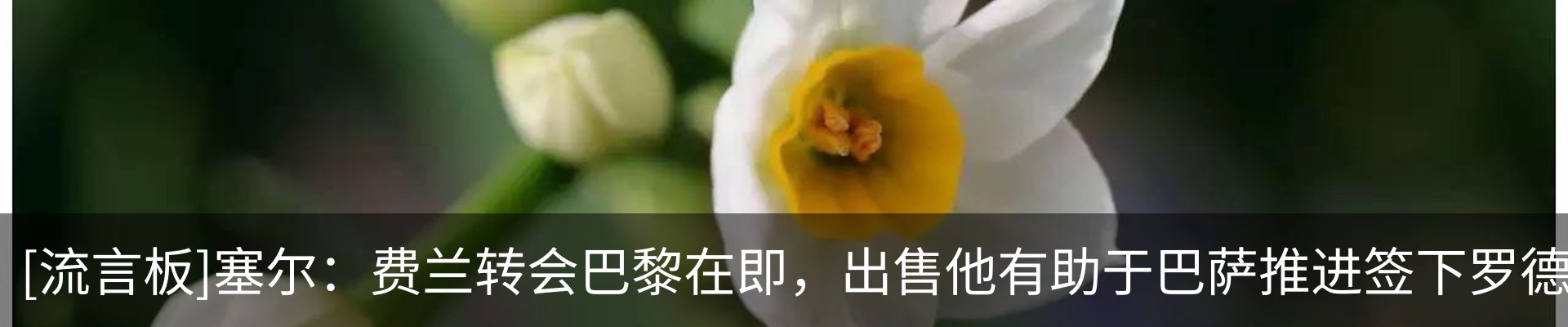 资讯动态